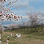 Thumbnail of post image 011